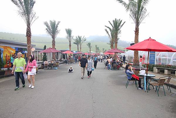 【台北旅遊】星空草原-寶特瓶也能成藝術品的親子景點