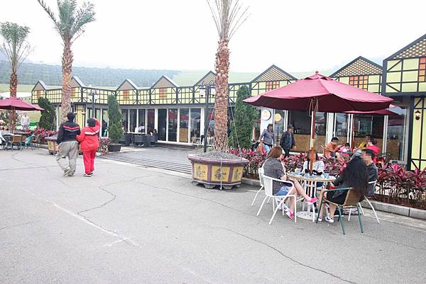 【台北旅遊】星空草原-寶特瓶也能成藝術品的親子景點