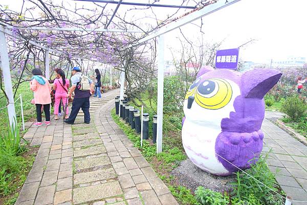 【台北旅遊】淡水紫藤花咖啡園-紫藤綻放紫色夢幻