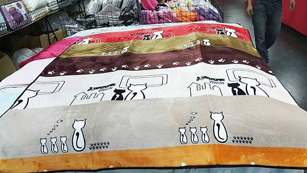 【比網路書店更便宜】暢銷新書、兒童書、工具書全面下殺６９折，流行背包、後背包全面下殺３折起。新竹活力廣場特賣會