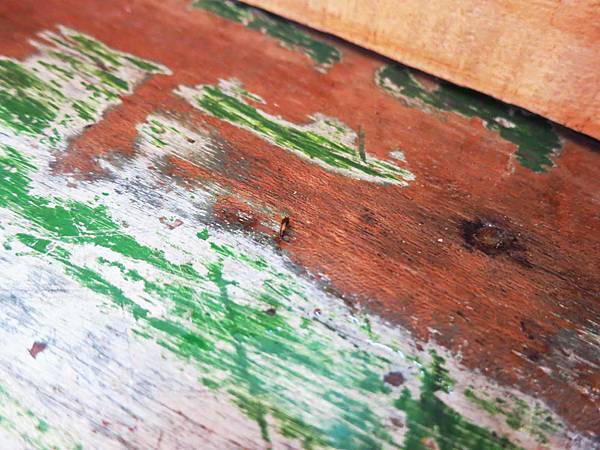 【桃園美食】職人炭烤吐司-超級爆漿起士炭烤吐司