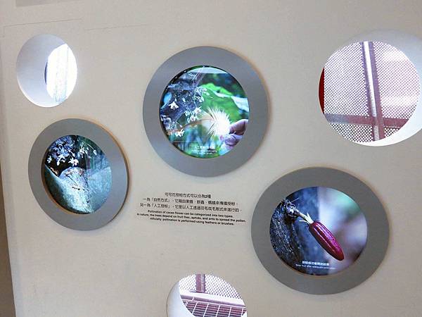 【桃園旅遊】巧克力共和國-親子巧克力觀光工廠DIY