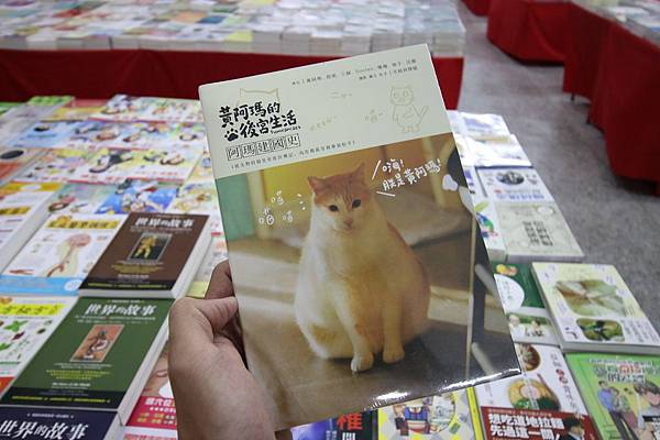 【比網路書店更便宜】暢銷新書、兒童書、工具書全面下殺６９折，寢具全面下殺１折起。台南特賣會