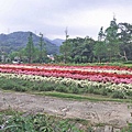 【桃園旅遊】後慈湖兩蔣文化園區-體驗管制區內幽靜風景