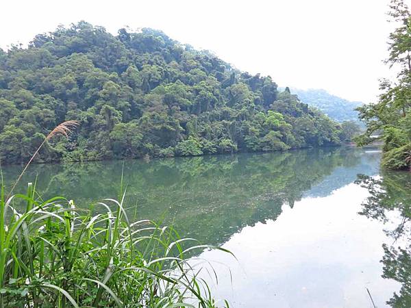 【桃園旅遊】後慈湖兩蔣文化園區-體驗管制區內幽靜風景