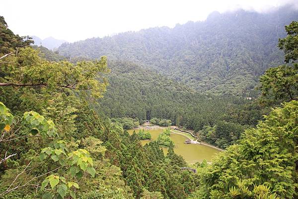 【桃園旅遊】明池山莊森林遊樂區-夏日登高避暑的最佳去處