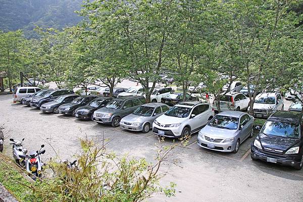 【桃園旅遊】明池山莊森林遊樂區-夏日登高避暑的最佳去處