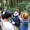 【桃園旅遊】明池山莊森林遊樂區-夏日登高避暑的最佳去處