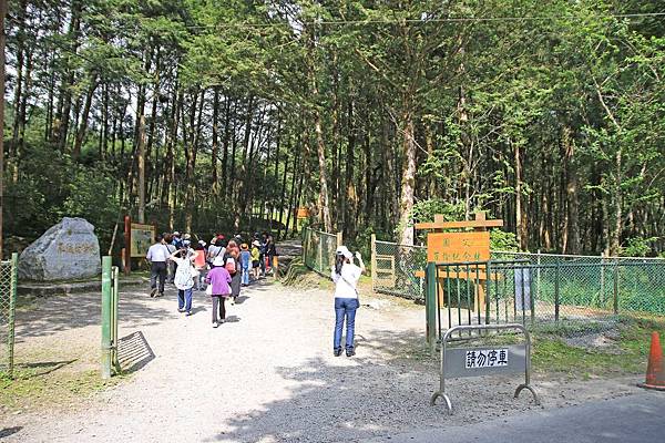 【桃園旅遊】明池山莊森林遊樂區-夏日登高避暑的最佳去處