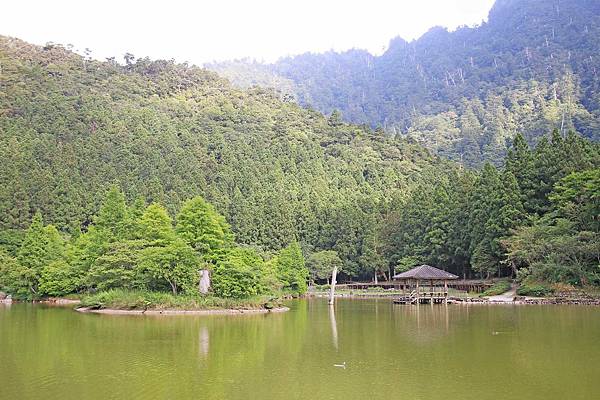 【桃園旅遊】明池山莊森林遊樂區-夏日登高避暑的最佳去處