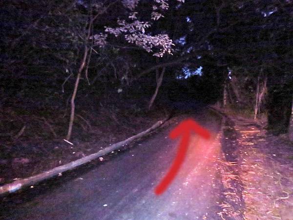 【台北旅遊】劍南山夜景-不用爬山也能看到台北夜景 【台北旅遊】劍南山夜景-不用爬山也能看到台北夜景