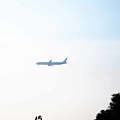 【桃園旅遊】竹圍漁港一日遊-超大新鮮海產與眺望飛機降落