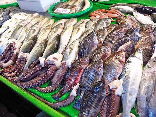 【桃園旅遊】竹圍漁港一日遊-超大新鮮海產與眺望飛機降落