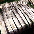 【桃園旅遊】竹圍漁港一日遊-超大新鮮海產與眺望飛機降落