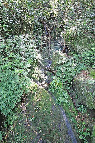 【台北旅遊】石碇老街、坪林茶業博物館、千島湖-茶葉文化一日遊