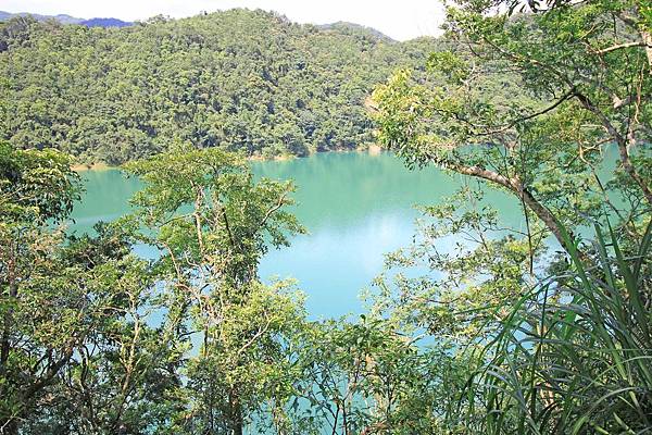 【台北旅遊】石碇老街、坪林茶業博物館、千島湖-茶葉文化一日遊