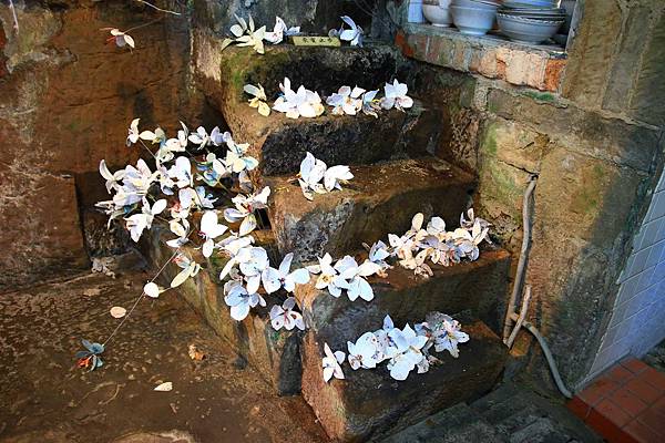 【台北旅遊】石碇老街、坪林茶業博物館、千島湖-茶葉文化一日遊
