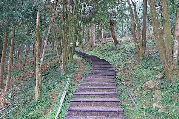 【桃園旅遊】東眼山森林遊樂區-夏日消暑山林避世小旅遊