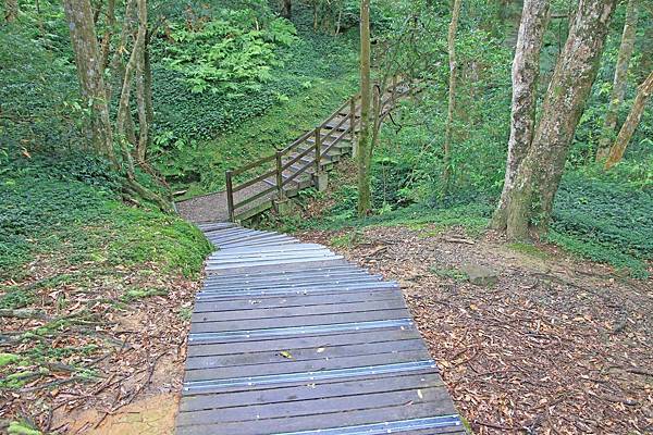 【桃園旅遊】東眼山森林遊樂區-夏日消暑山林避世小旅遊