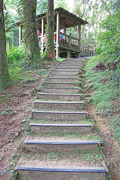 【桃園旅遊】東眼山森林遊樂區-夏日消暑山林避世小旅遊