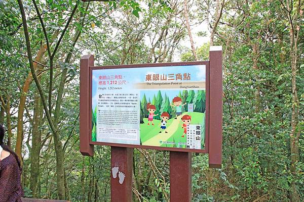 【桃園旅遊】東眼山森林遊樂區-夏日消暑山林避世小旅遊