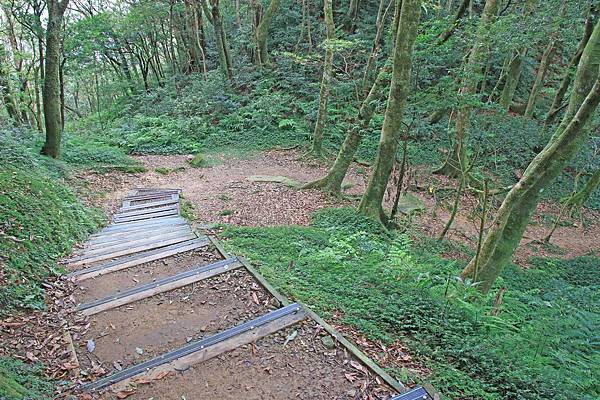 【桃園旅遊】東眼山森林遊樂區-夏日消暑山林避世小旅遊