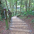 【桃園旅遊】東眼山森林遊樂區-夏日消暑山林避世小旅遊