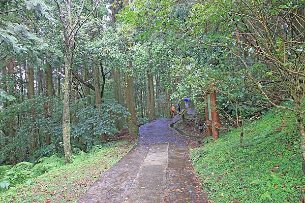 【桃園旅遊】東眼山森林遊樂區-夏日消暑山林避世小旅遊
