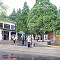 【桃園旅遊】東眼山森林遊樂區-夏日消暑山林避世小旅遊