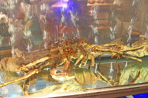 【板橋餐廳】Chatting愜庭洋廚-都市裡的戶外景觀餐廳