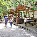 【花蓮旅遊】砂卡礑步道-美麗河川與風景山秀步道