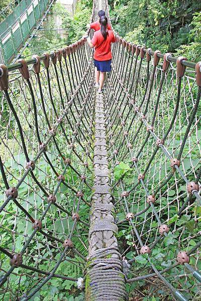 【花蓮旅遊】砂卡礑步道-美麗河川與風景山秀步道