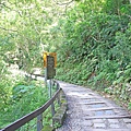 【花蓮旅遊】砂卡礑步道-美麗河川與風景山秀步道