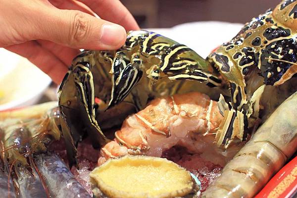 【泰山餐廳】上饌享樂火鍋-最高等級M9+和牛、龍蝦、巨大霸肉盤超大份量