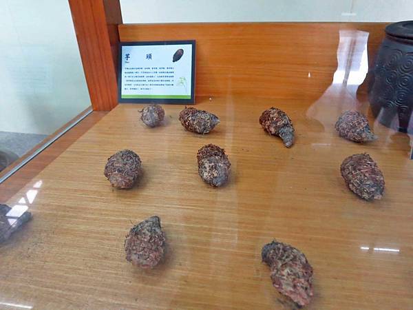 【台中旅遊】阿聰師芋頭文化館-芋頭酥DIY觀光工廠