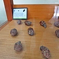 【台中旅遊】阿聰師芋頭文化館-芋頭酥DIY觀光工廠