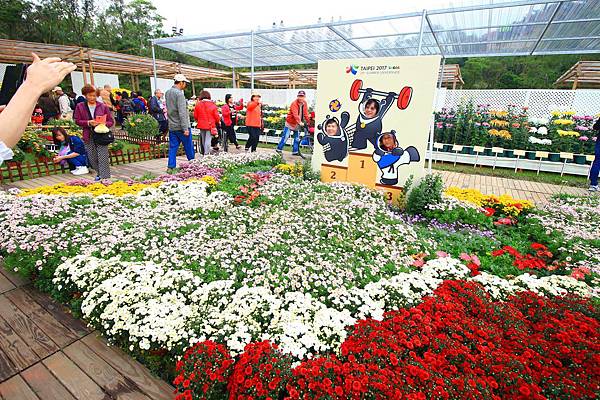 【台北旅遊】2016士林官邸菊展-美麗的菊花展