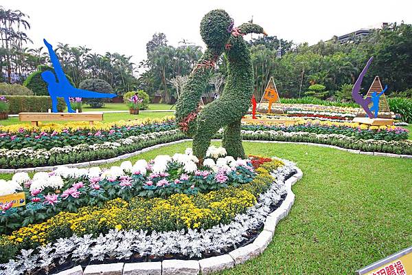 【台北旅遊】2016士林官邸菊展-美麗的菊花展