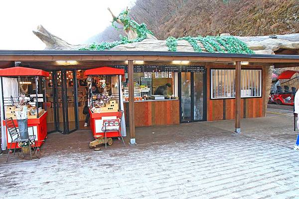 【韓國旅遊】江村Rail Park鐵道自行車-附班次及交通完整資訊