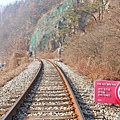 【韓國旅遊】江村Rail Park鐵道自行車-附班次及交通完整資訊