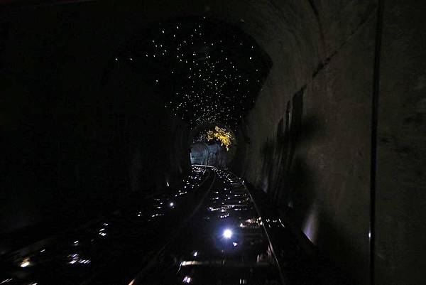 【韓國旅遊】江村Rail Park鐵道自行車-附班次及交通完整資訊