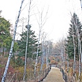 【韓國旅遊】晨靜樹木園-美麗花朵覆蓋的美麗庭園-附交通方式及班次