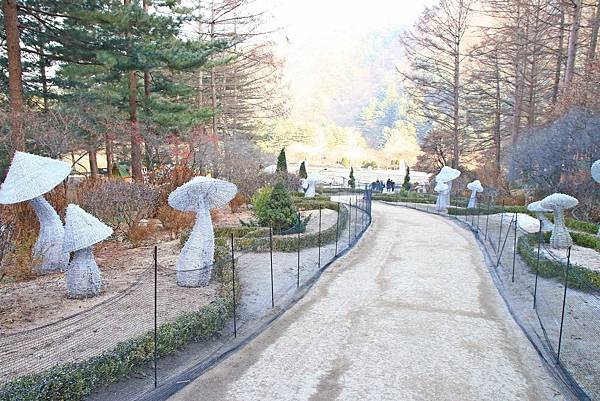 【韓國旅遊】晨靜樹木園-美麗花朵覆蓋的美麗庭園-附交通方式及班次