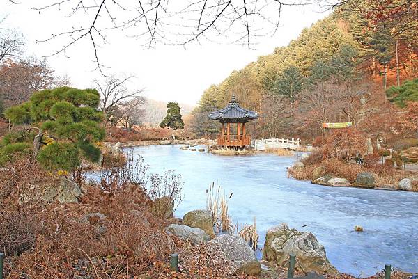 【韓國旅遊】晨靜樹木園-美麗花朵覆蓋的美麗庭園-附交通方式及班次