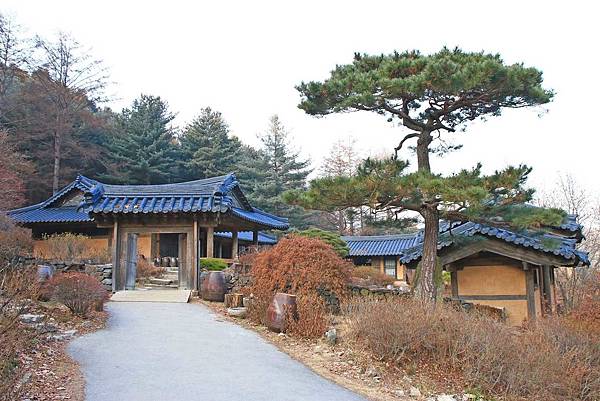 【韓國旅遊】晨靜樹木園-美麗花朵覆蓋的美麗庭園-附交通方式及班次