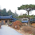 【韓國旅遊】晨靜樹木園-美麗花朵覆蓋的美麗庭園-附交通方式及班次