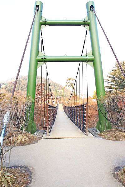 【韓國旅遊】晨靜樹木園-美麗花朵覆蓋的美麗庭園-附交通方式及班次