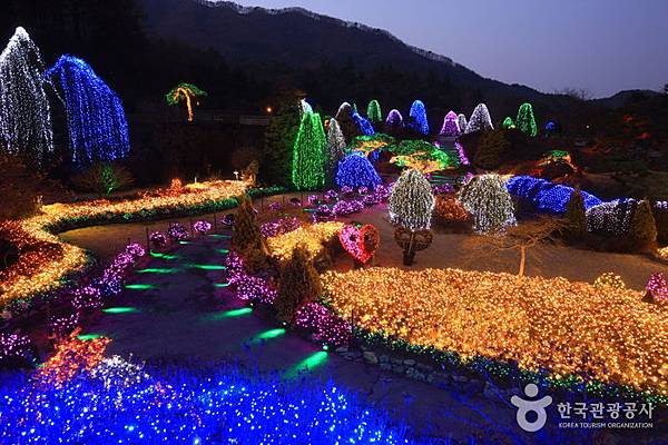 【韓國旅遊】晨靜樹木園-美麗花朵覆蓋的大規模庭園