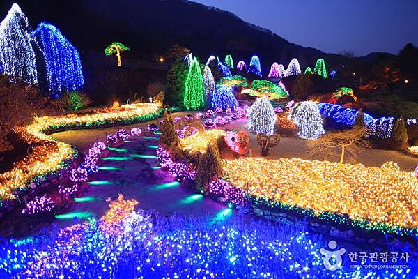 【韓國旅遊】晨靜樹木園-美麗花朵覆蓋的美麗庭園
