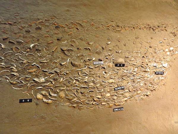 【台北旅遊】新北市立十三行博物館-親子同樂博物館